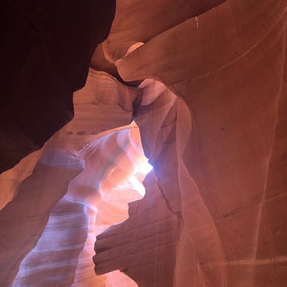 Meet your Posher. Nina S - Picture 1 of 1